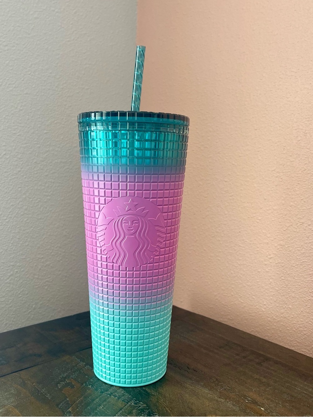Starbucks Ombre Grid Cold Tumbler 2024 Valentines Day Winter w/Straw_24 OZ